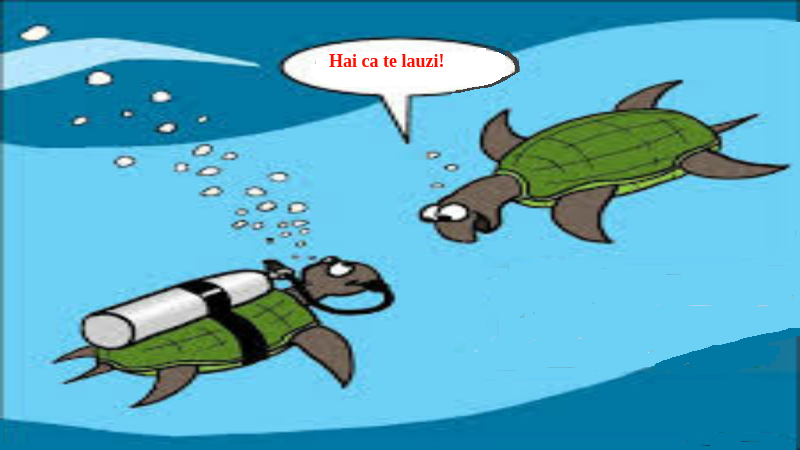 BANCUL ZILEI – Cu țestoasele la pescuit